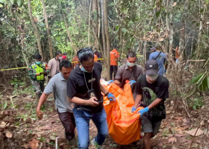 Pria Paruh Baya Ditemukan Membusuk Terkubur di Rawa-rawa Kebun Karet