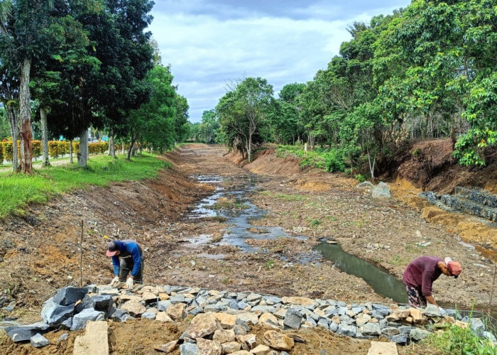 Jadikan Lokasi Rekreasi, Sungai di Hutan Kota di Tebo Mulai Dibersihkan