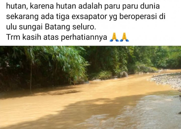 Aktivitas PETI Rusak Hutan Lindung, Tiga Ekskavator Sedang Bekerja