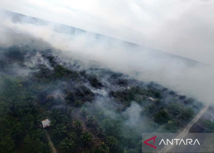 BMKG: Kebakaran Lahan Berpotensi Meluas di Aceh Barat