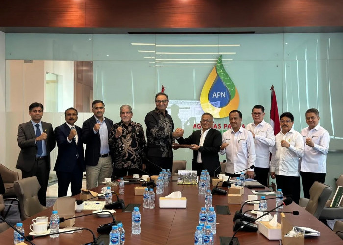 Kerja Sama Kelapa Sawit Indonesia-Pakistan Garap 200.000 Hektare Lahan Terintegrasi