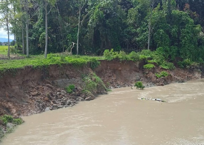  Warga Cemas Sungai Batang Merao Terus  Abrasi