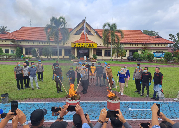 40 Kilo Ganja Dimusnahkan, AKBP Wendi : Kita Kejar Pelaku Sampai Ke Bandar Lampung