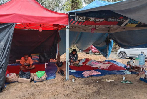 Rela Tidur di Tenda dan Minum Suplemen, Keluarga Ingin Makam Yosua Aman & Autopsi Ulang Memberi Petunjuk Baru