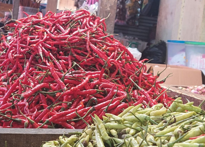 Harga Cabe Capai Rp 90 Ribu Per Kg, Masyarakat Mulai Mengeluh 