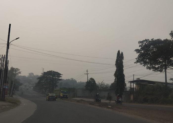 ISPU Jambi Tembus 204, Udara Kota Jambi Sangat Tidak Sehat