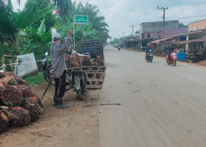 SKK Migas-PetroChina Cor Beton Jalan Simpang 4 Blok D – Mendahara: Akses Transportasi Makin Lancar