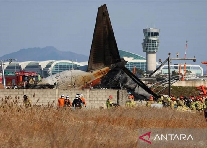 Jeju Air Kurangi Operasi Penerbangan Atas Respons Masalah Keselamatan