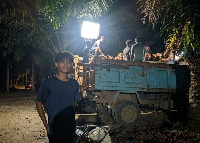 Sosok Nurpandi, Petani Sawit Asal Muaro Jambi yang Tak Lelah Berjuang Demi Keluarga