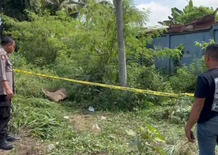 Warga Temukan Mayat Laki-laki Tergeletak di Dalam Parit