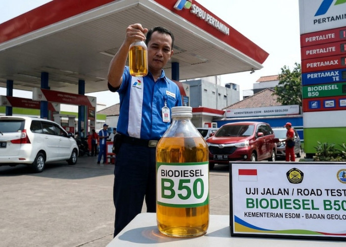 Cerita Pengemudi L300 dan Pikap Usai Gunakan B50: Tak Ada Masalah pada Mesin