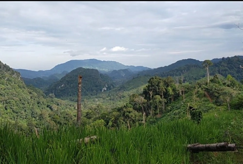 Ekowisata Kawasan Marga Bukit Bulan Sebagai Wisata Alternatif di Kabupaten Sarolangun