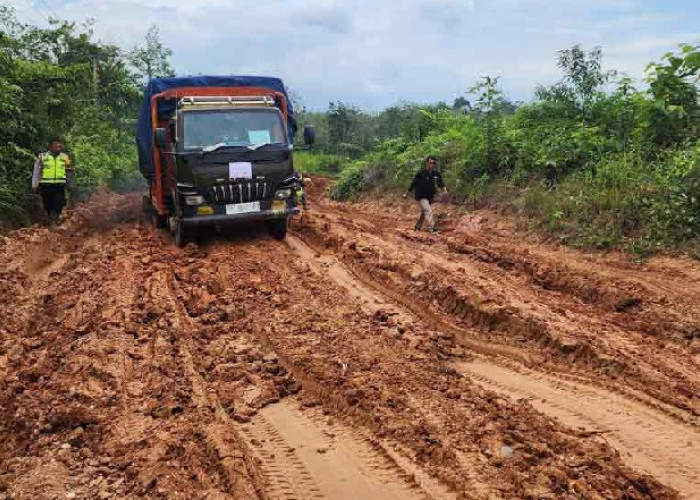 Distribusi Logistik 7 TPS di Kecamatan Terjauh di Provinsi Jambi Jadi Prioritas Pertama 