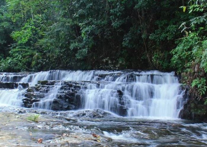 Wisata Alam Geopark Merangin, Ada Fosil Flora Berusia 350 Tahun