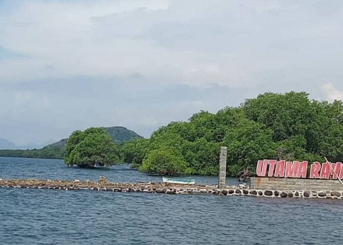 Update Tol Probowangi, Desa Banyuglugur-Situbondo Dibelah, Lokasi Jalan Tol Dekat Rest Area SPBU Utama Raya