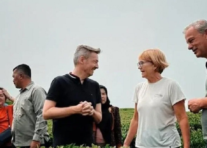 Harga Kulit Manis Anjlok, Kerinci Buka Peluang Pasar Eropa