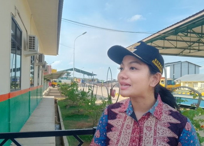 Harga TBS Sawit di Dharmasraya Meroket Lagi Jadi Rp3.160, Pemkab Beri Apresiasi ke PKS