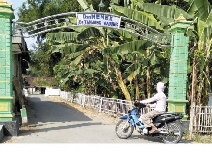 Viral, Dusun Memek Desa Tanjung Wadung, Jangan Ngeres Dulu Berikut Penjelasannya