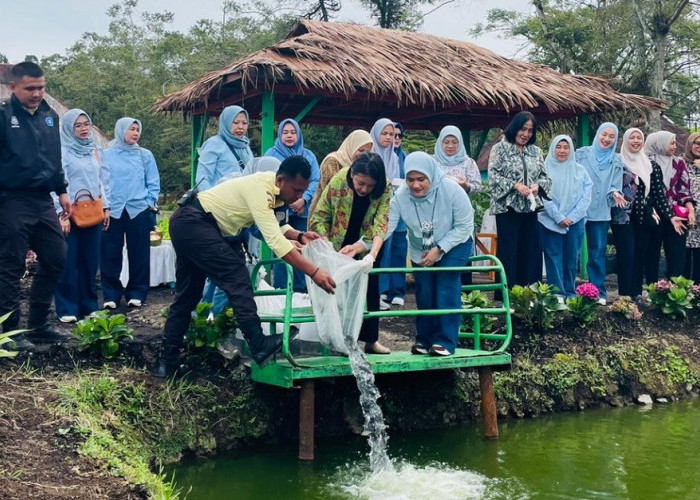 Ketahanan Pangan, IKBI PTPN Sebar Ikan Nila di kolam Stunting 