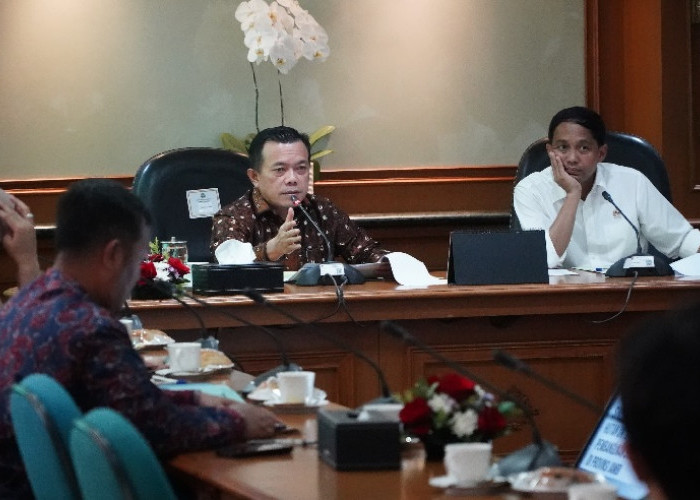 Bersama Para Bupati/Wali Kota, Gubernur Al Haris Lakukan Audiensi dengan Menteri Kehutanan 