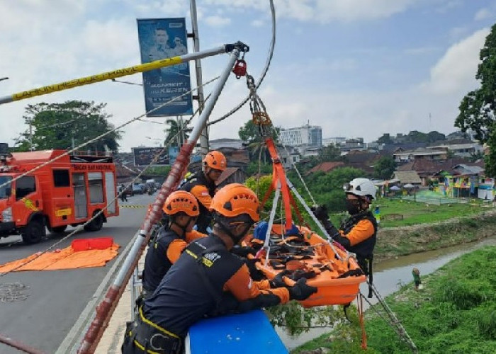 Basarnas Jambi Gelar Pelatihan Evakuasi di Medan Ketinggian 