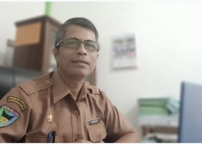 Selisih hingga Rp1.395/Kg dari Plasma, Pemkab Pessel Perjuangkan Harga TBS Swadaya