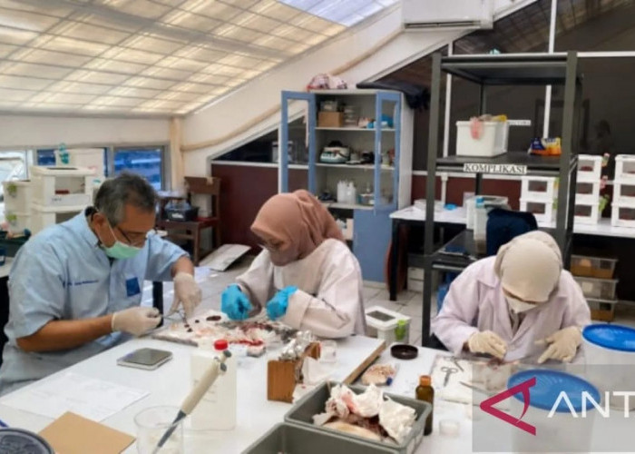 UNAND Teliti Potensi Tanaman Lokal Untuk Obat Diabetes dan Hipertensi