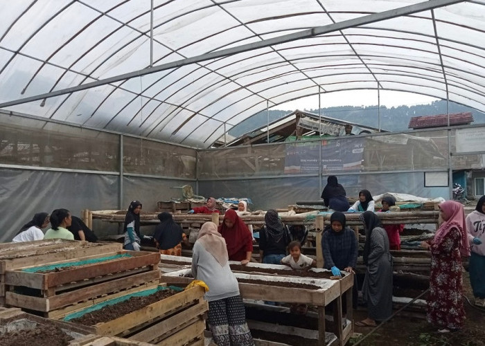 Perempuan Nasabah PNM Mekaar di Bandung Barat Kembangkan Usaha lewat Sinergi Ultra Mikro BRI