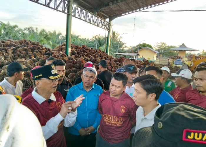 Sidak PKS, Bupati Hendrajoni Tegaskan Harga TBS Sawit di Pessel Tak Boleh Turun dan Harus Diperjuangkan Naik