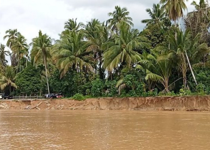 Dihantam Arus Sungai, Tebing di Pulau Aro Terancam Runtuh