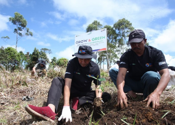  BRI Pulihkan Ekosistem dan Lawan Perubahan Iklim Melalui Program BRI Menanam - Grow & Green 