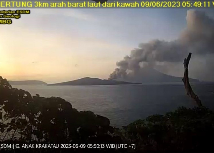  GUNUNG Anak Krakatau Erupsi, Hindari Beraktivitas di Radius 5 Km dari Kawah Aktif
