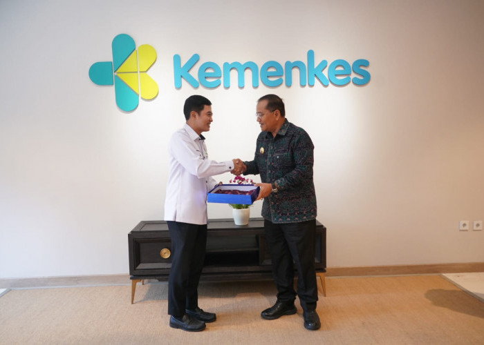 Usulkan Dua Puskesmas Baru, Maulana Temui Wamenkes