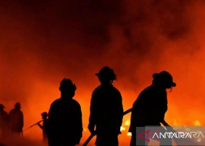 Bar di Swiss Terbakar Pada Malam Tahun Baru, Sedikitnya 10 Orang Tewas