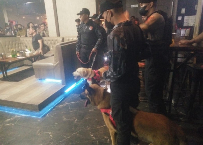 4 Anjing Pelacak Dikerahkan Sisir 9 Tempat Hiburan Malam di Kota Jambi,