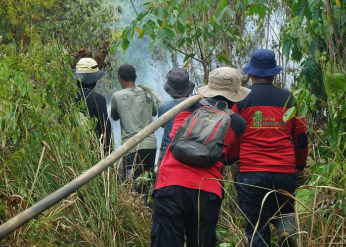 Dukung Penyidikan Polda Jambi, PT REKI Tegaskan Komitmen Penanganan Karhutla di Hutan Harapan