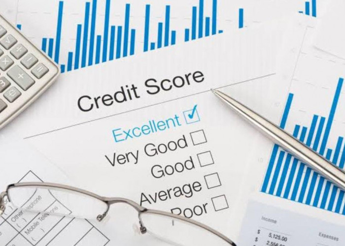 Pengecekan Skor Kredit Lebih Mudah dengan Sistem Layanan Informasi Keuangan (SLIK) OJK