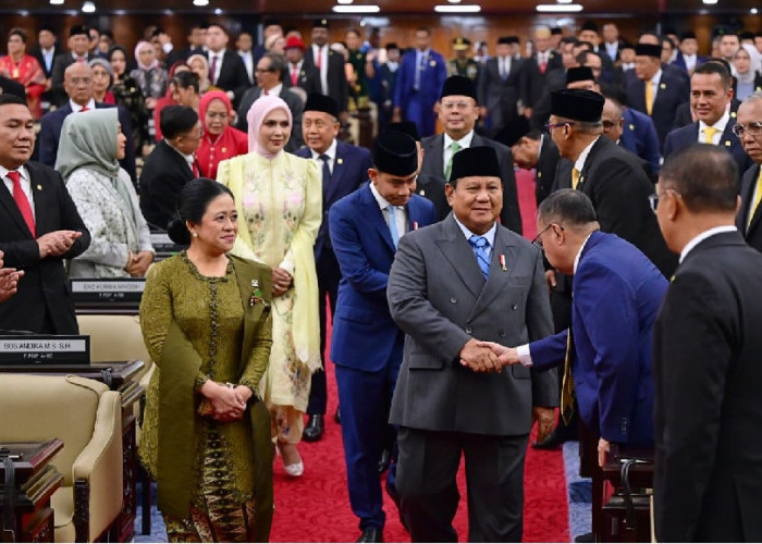 Presiden Prabowo Pangkas BUMN, 290 Perusahaan Ditutup, Target Tinggal 300 di Akhir 2026