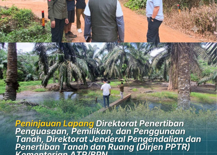 Pemutakhiran Basis Data Tanah Terindikasi Telantar, Kanwil BPN Provinsi Jambi Dampingi Dirjen PPTR Laksanakan 