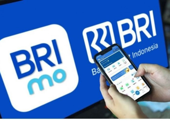 DPK BRI Capai Rp1.580 Triliun dan Didominasi CASA