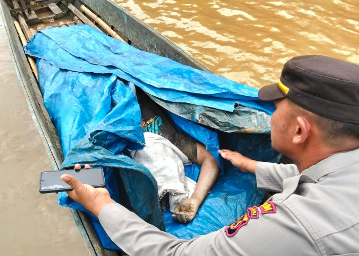 Update Mobil Masuk Jurang di Muara Emat, Satu Korban Meninggal, Satu Belum Ditemukan