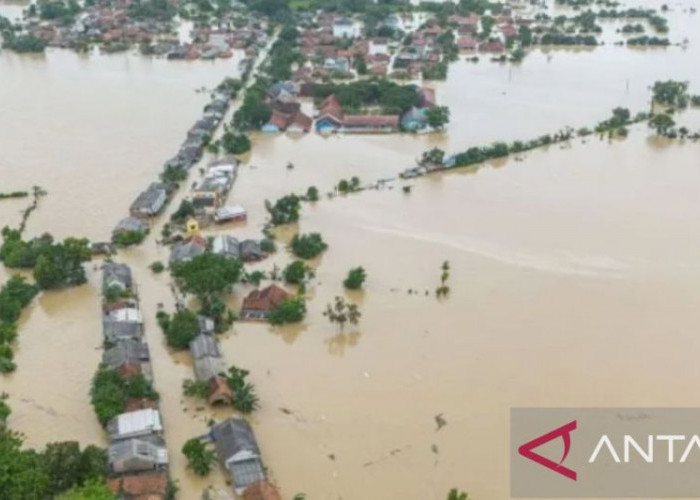 Ribuan Hektare Sawah di Karawang Terendam Banjir