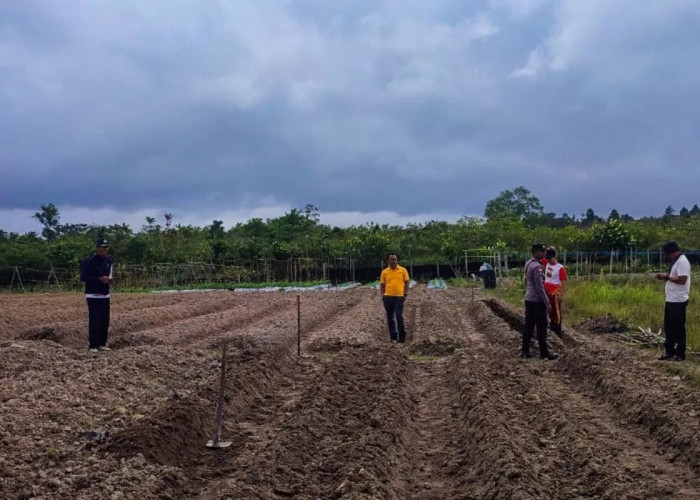 Polres Natuna Siapkan Lahan 1,5 Hektare Untuk Tanam Jagung