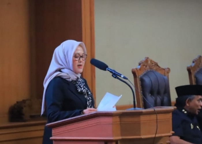 Fraksi PPP Tanggapi Rencana Suntikan Modal PT Muaro Jambi Unggul