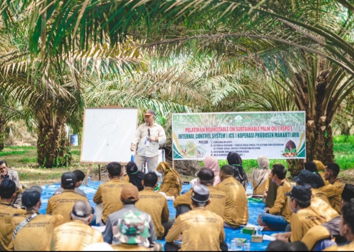 Ratusan Petani Mitra PTPN IV PalmCo Segera Kantongi Sertifikasi RSPO