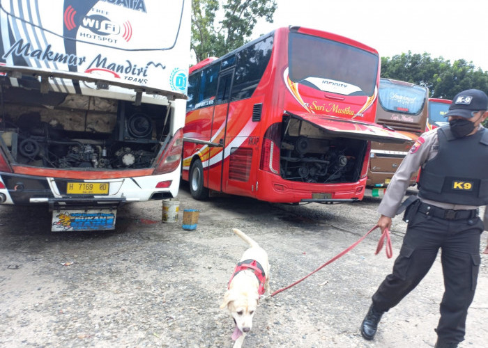 Dua Ekor Anjing Pelacak Spesialisasi Pelacakan Narkotika Dikerahkan