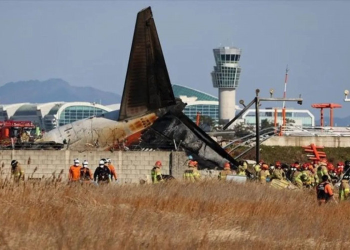 Peringatan Tabrakan Burung Dikeluarkan Sesaat sebelum Jeju Air Jatuh