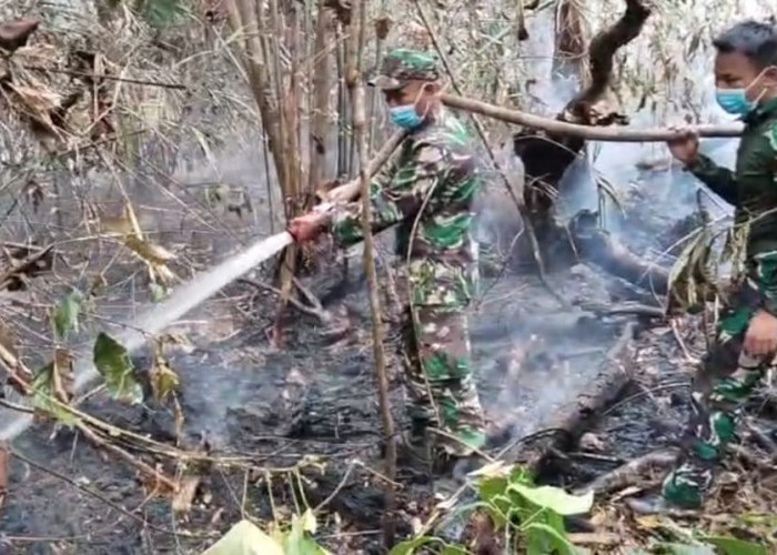 Karhutla Kembali Terjadi Di Batanghari, Tim Gabungan Bergerak Padamkan Api Di Kawasan PT Reki