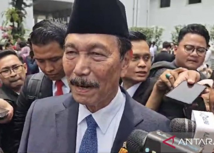 Jabat Ketua Dewan Ekonomi Nasional, Ini Kata Luhut Binsar Pandjaitan