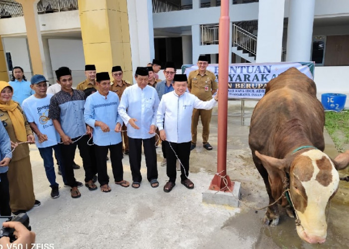 Gubernur Al Haris Serahkan Sapi Kurban Presiden Prabowo Seberat 930 Kg di Masjid Islamic Center